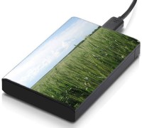 meSleep HD47042 Hard Disk Skin(Multicolor)   Laptop Accessories  (meSleep)