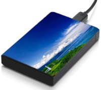meSleep HD32225 Hard Disk Skin(Multicolor)   Laptop Accessories  (meSleep)