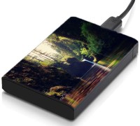 meSleep HD30256 Hard Disk Skin(Multicolor)   Laptop Accessories  (meSleep)