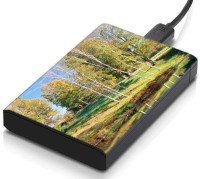 meSleep HD32250 Hard Disk Skin(Multicolor)   Laptop Accessories  (meSleep)