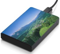 meSleep HD34207 Hard Disk Skin(Multicolor)   Laptop Accessories  (meSleep)