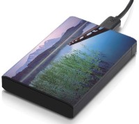 meSleep HD45394 Hard Disk Skin(Multicolor)   Laptop Accessories  (meSleep)