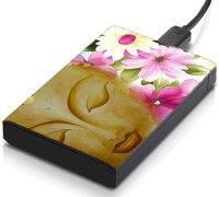 meSleep HD1366 Hard Disk Skin(Multicolor)   Laptop Accessories  (meSleep)