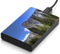 meSleep HD43104 Hard Disk Skin(Multicolor)   Laptop Accessories  (meSleep)