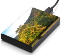 meSleep HD32178 Hard Disk Skin(Multicolor)   Laptop Accessories  (meSleep)