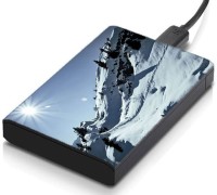 meSleep HD42385 Hard Disk Skin(Multicolor)   Laptop Accessories  (meSleep)