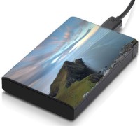 meSleep HD32255 Hard Disk Skin(Multicolor)   Laptop Accessories  (meSleep)