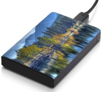 meSleep HD30150 Hard Disk Skin(Multicolor)   Laptop Accessories  (meSleep)