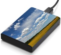 meSleep HD36097 Hard Disk Skin(Multicolor)   Laptop Accessories  (meSleep)