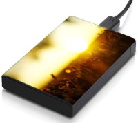 meSleep HD41195 Hard Disk Skin(Multicolor)   Laptop Accessories  (meSleep)