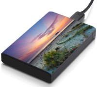 meSleep HD30183 Hard Disk Skin(Multicolor)   Laptop Accessories  (meSleep)