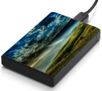meSleep HD35334 Hard Disk Skin(Multicolor)   Laptop Accessories  (meSleep)