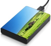 meSleep HD38180 Hard Disk Skin(Multicolor)   Laptop Accessories  (meSleep)