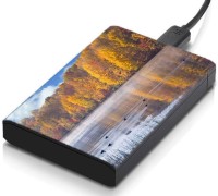 meSleep HD39017 Hard Disk Skin(Multicolor)   Laptop Accessories  (meSleep)