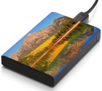 meSleep HD32207 Hard Disk Skin(Multicolor)   Laptop Accessories  (meSleep)
