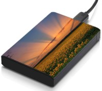 meSleep HD45056 Hard Disk Skin(Multicolor)   Laptop Accessories  (meSleep)