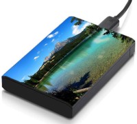meSleep HD33313 Hard Disk Skin(Multicolor)   Laptop Accessories  (meSleep)