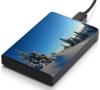 meSleep HD42376 Hard Disk Skin(Multicolor)   Laptop Accessories  (meSleep)