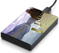 meSleep HD32197 Hard Disk Skin(Multicolor)   Laptop Accessories  (meSleep)