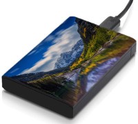 meSleep HD35316 Hard Disk Skin(Multicolor)   Laptop Accessories  (meSleep)