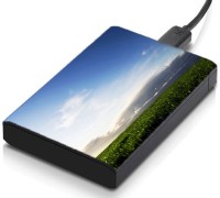 meSleep HD41303 Hard Disk Skin(Multicolor)   Laptop Accessories  (meSleep)