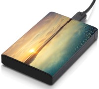 meSleep HD32233 Hard Disk Skin(Multicolor)   Laptop Accessories  (meSleep)
