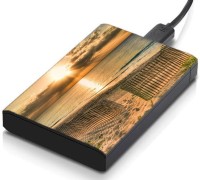 meSleep HD46109 Hard Disk Skin(Multicolor)   Laptop Accessories  (meSleep)
