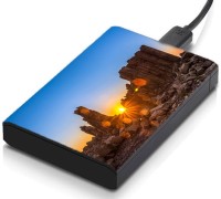 meSleep HD46110 Hard Disk Skin(Multicolor)   Laptop Accessories  (meSleep)