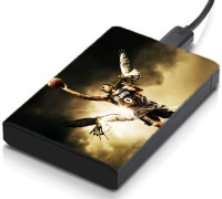 meSleep HD1533 Hard Disk Skin(Multicolor)   Laptop Accessories  (meSleep)