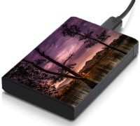 meSleep HD43021 Hard Disk Skin(Multicolor)   Laptop Accessories  (meSleep)
