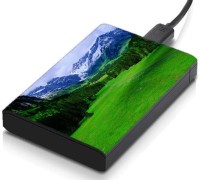 meSleep HD43305 Hard Disk Skin(Multicolor)   Laptop Accessories  (meSleep)