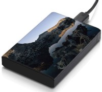 meSleep HD30320 Hard Disk Skin(Multicolor)   Laptop Accessories  (meSleep)