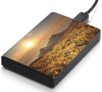 meSleep HD39088 Hard Disk Skin(Multicolor)   Laptop Accessories  (meSleep)