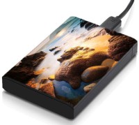 meSleep HD37087 Hard Disk Skin(Multicolor)   Laptop Accessories  (meSleep)