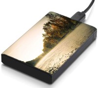 meSleep HD35154 Hard Disk Skin(Multicolor)   Laptop Accessories  (meSleep)