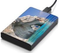meSleep HD38314 Hard Disk Skin(Multicolor)   Laptop Accessories  (meSleep)