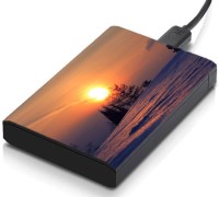 meSleep HD29272 Hard Disk Skin(Multicolor)   Laptop Accessories  (meSleep)