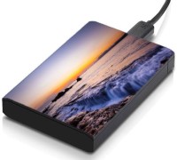 meSleep HD29034 Hard Disk Skin(Multicolor)   Laptop Accessories  (meSleep)