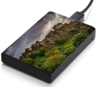 meSleep HD39322 Hard Disk Skin(Multicolor)   Laptop Accessories  (meSleep)