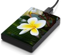 meSleep HD30400 Hard Disk Skin(Multicolor)   Laptop Accessories  (meSleep)