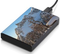 meSleep HD33245 Hard Disk Skin(Multicolor)   Laptop Accessories  (meSleep)