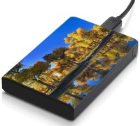meSleep HD32034 Hard Disk Skin(Multicolor)   Laptop Accessories  (meSleep)