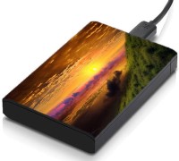 meSleep HD30334 Hard Disk Skin(Multicolor)   Laptop Accessories  (meSleep)