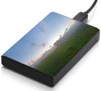meSleep HD39151 Hard Disk Skin(Multicolor)   Laptop Accessories  (meSleep)