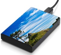 meSleep HD35338 Hard Disk Skin(Multicolor)   Laptop Accessories  (meSleep)