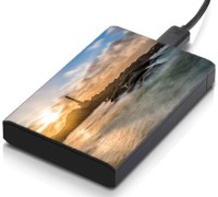 meSleep HD37104 Hard Disk Skin(Multicolor)   Laptop Accessories  (meSleep)