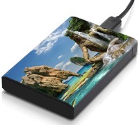 meSleep HD1633 Hard Disk Skin(Multicolor)   Laptop Accessories  (meSleep)