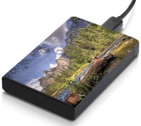 meSleep HD35139 Hard Disk Skin(Multicolor)   Laptop Accessories  (meSleep)