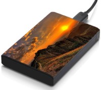 View meSleep HD37147 Hard Disk Skin(Multicolor) Laptop Accessories Price Online(meSleep)