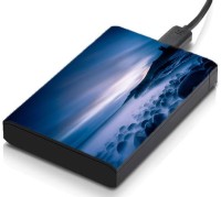 meSleep HD37263 Hard Disk Skin(Multicolor)   Laptop Accessories  (meSleep)